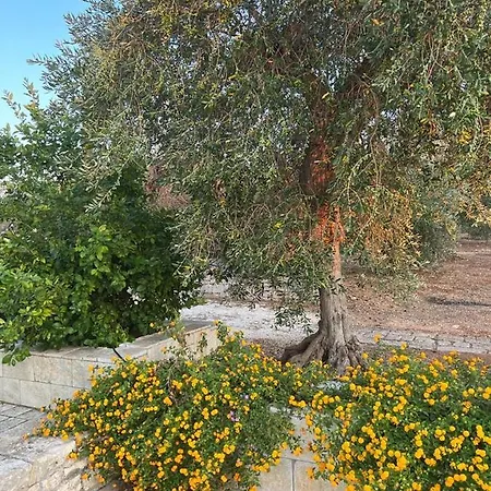 Semesterbostad La Chianca Rosa Monopoli