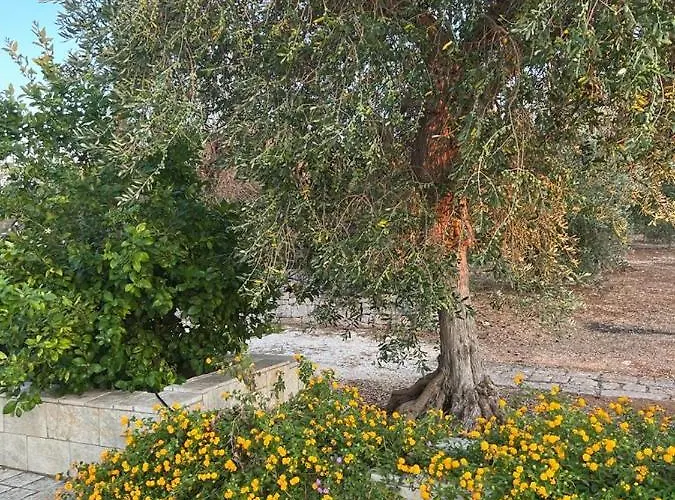 Semesterbostad La Chianca Rosa Monopoli